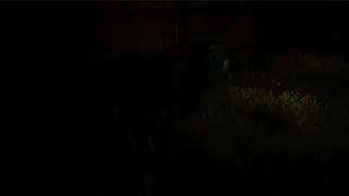 Скриншот 2 к игре It Never Leaves You - Chapter 1