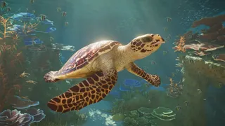 Скриншот 2 к игре Planet Zoo 2