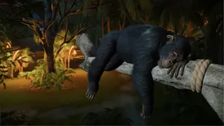 Скриншот 6 к игре Planet Zoo 2