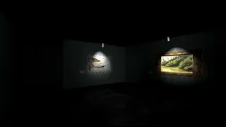 Скриншот 2 к игре Dissonant Frames