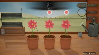 Скриншот 1 к игре Hour Flowers