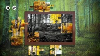 Скриншот 1 к игре Puzzles Forest