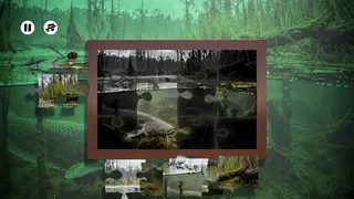 Скриншот 5 к игре Puzzles: Fish