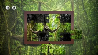 Скриншот 2 к игре Puzzles: Monkey