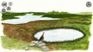 Скриншот 6 к игре Bibdu