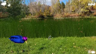 Скриншот 3 к игре Jump Duck
