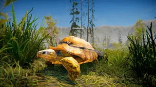 Скриншот 5 к игре Turtles on Crocodiles