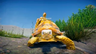 Скриншот 8 к игре Turtles on Crocodiles