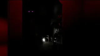 Скриншот 1 к игре Echoes In Static