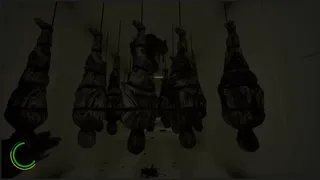 Скриншот 2 к игре The Death... And After?