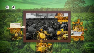 Скриншот 5 к игре Puzzles: Vegetables
