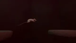 Скриншот 7 к игре Cheesty
