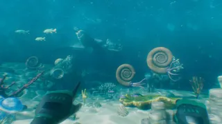 Скриншот 2 к игре Paleo Dive