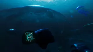 Скриншот 6 к игре Paleo Dive