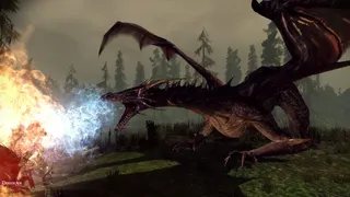 Скриншот 3 к игре Dragon Age: Origins