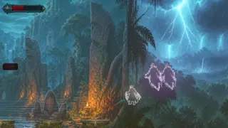Скриншот 3 к игре The Last Brazilian