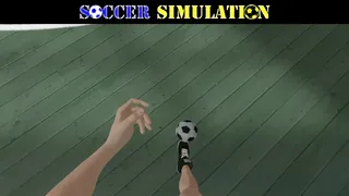 Скриншот 5 к игре Soccer Simulation