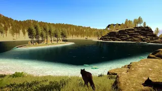 Скриншот 2 к игре Still Wild