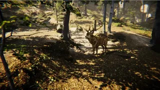 Скриншот 3 к игре Animal