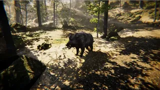 Скриншот 6 к игре Animal