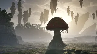 Скриншот 1 к игре Mushroom Simulator