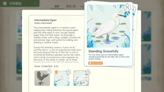 Скриншот 4 к игре 羽迹