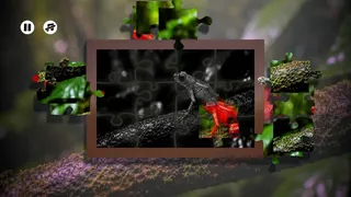 Скриншот 1 к игре Puzzles Frogs