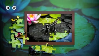 Скриншот 2 к игре Puzzles Frogs