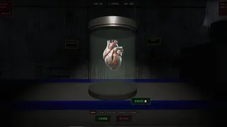 Скриншот 5 к игре Is That a Human Organ?