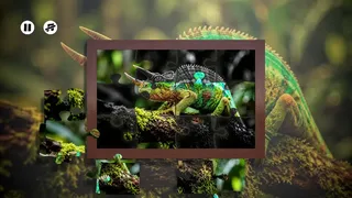 Скриншот 1 к игре Puzzles Lizards