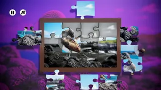 Скриншот 2 к игре Puzzles Birds