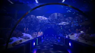 Скриншот 3 к игре Aquarium Anomaly
