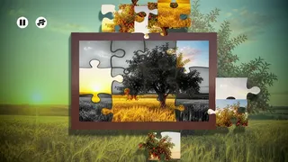 Скриншот 3 к игре Puzzles Fruit