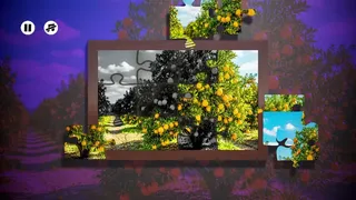 Скриншот 5 к игре Puzzles Fruit