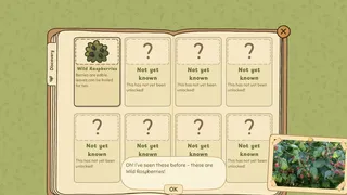 Скриншот 5 к игре Grandma's Guide to the Grand Outside