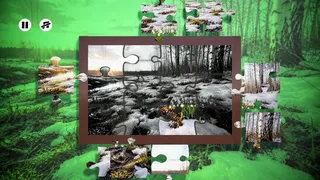 Скриншот 3 к игре Puzzles Snow