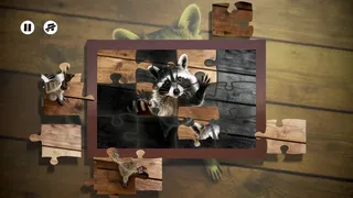 Скриншот 2 к игре Puzzles Raccoons