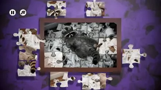 Скриншот 3 к игре Puzzles Raccoons