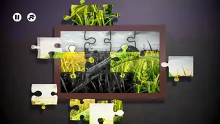 Скриншот 2 к игре Puzzles Insect