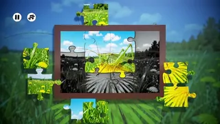 Скриншот 4 к игре Puzzles Insect