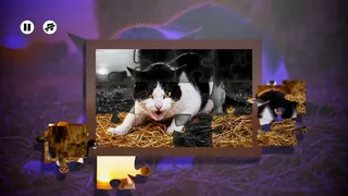 Скриншот 2 к игре Puzzles Evil Cats