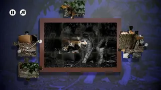 Скриншот 3 к игре Puzzles Evil Cats