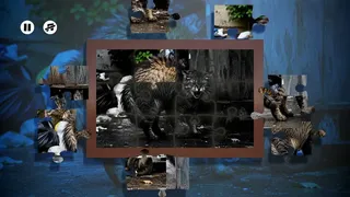 Скриншот 4 к игре Puzzles Evil Cats