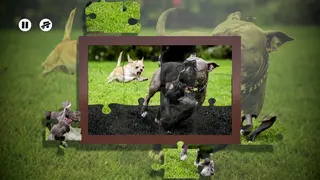 Скриншот 4 к игре Puzzles Evil Dogs