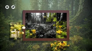 Скриншот 2 к игре Puzzles Mushroom