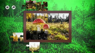 Скриншот 3 к игре Puzzles Mushroom