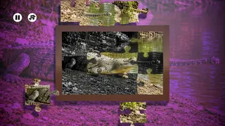 Скриншот 2 к игре Puzzles Reptiles