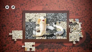 Скриншот 5 к игре Puzzles Reptiles