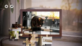 Скриншот 2 к игре Puzzles Rats