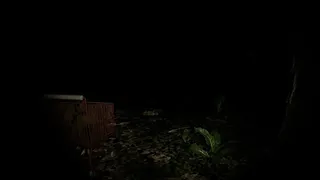 Скриншот 3 к игре Nightroot